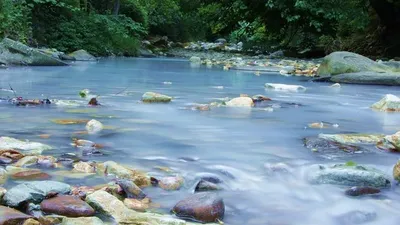 Река Шахе в Сочи | Головинка, Краснодарский край: описание, фото