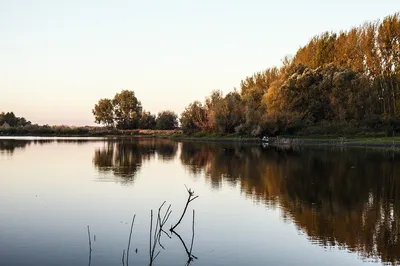 Исток реки Воронеж :: Геокэшинг ::