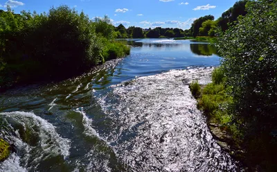 Под Рамонью уровень воды в реке Воронеж поднялся на 2,8 м