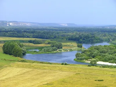Река Воронеж в Липецкой области