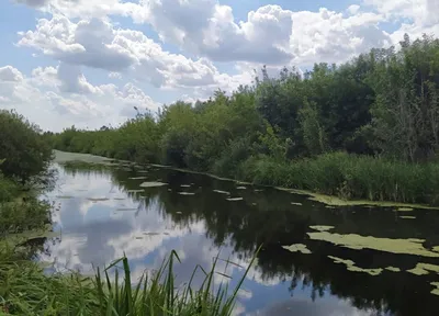 Река Воронеж | Марийские Лесоходы