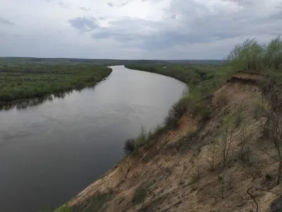 Уровень воды в реке Воронеж в Рамонском районе снизился на 8 см