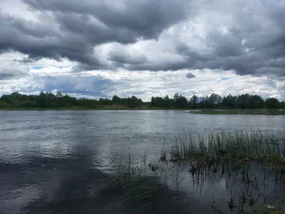 7.05.2021 Липецкая область. Река Воронеж — Гольфстрим
