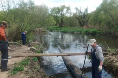Рыбалка на реке Воронеж отчет с фото о походе со спиннингом - «LANDFISH»
