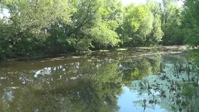 Рассвет в Рамони на реке Воронеж.