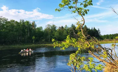 Кругом вода: тайные реки Москвы