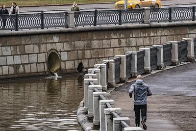 Исток Москва-реки — как зарождается главная река Москвы? | MOSгид | Дзен