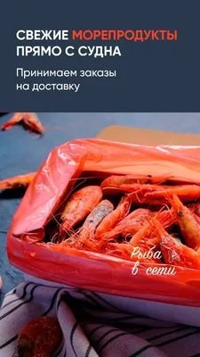 Реклама в сторис у блогеров: продвижение морепродуктов