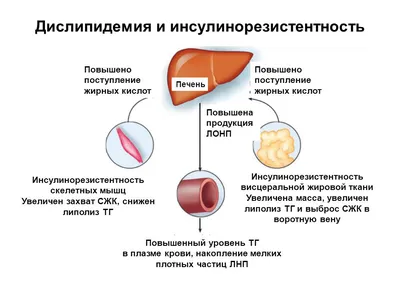 РЕКОМЕНДАЦИИ ГРАЖДАНАМ: здоровое питание