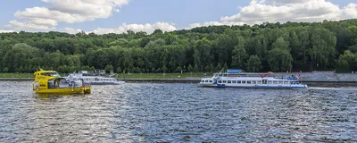 Аренда боксерского ринга и инвентаря в Москве для съемок и мероприятий