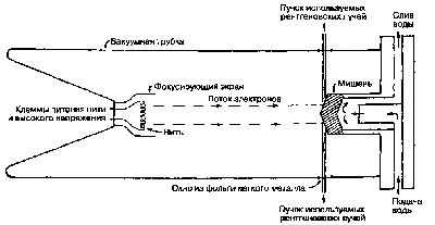 Рентгеновские лучи человеческих легких в изолированном белом изображения  фона легких с местом для текста для надписи. Стоковое Фото - изображение  насчитывающей анархиста, график: 201322710