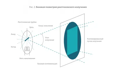 Рентгеновские лучи и их влияние на беременность