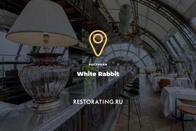 Проект - \"White rabbit\". Архитектор / Дизайнер - Валерий Лизунов