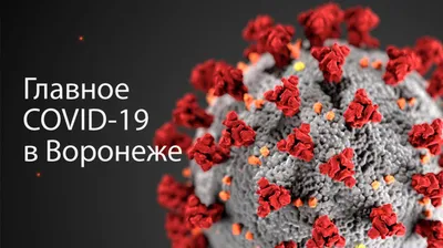 Обзор ресторана «Сыроварня» в Воронеже — Полиграф.Медиа