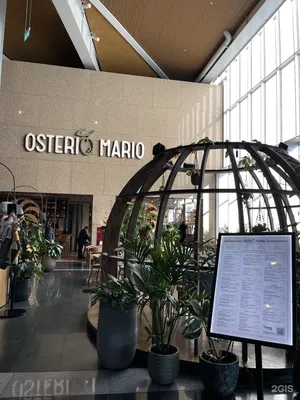 Ресторан «Osteria Mario» / «Остерия марио» - Зелёный проспект 81, метро  Новогиреево, Москва: цены, меню, адрес, фото, отзывы — Официальный сайт  Restoclub