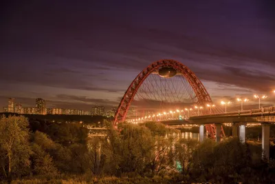 Ресторан Винный базар на Кузнецком Мосту, фото, меню, цены, телефон,  бронирование официальный гид по Москва-Сити