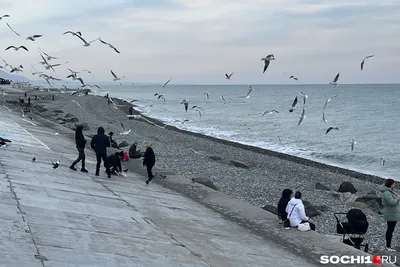 В центре Новосибирска до конца августа откроют ресторан рэпера Басты