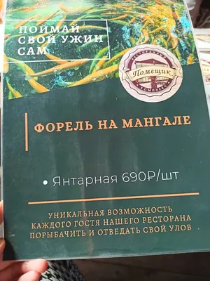 Красивые летники в Краснодаре: ТОП-5 атмосферных заведений | Ресторанная  обзорка | Дзен