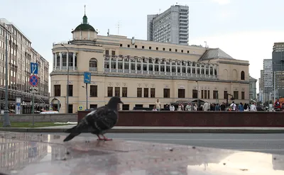 Интерфакс-Недвижимость / Ресторан \"Прага\" в Москве реконструируют с  увеличением площади