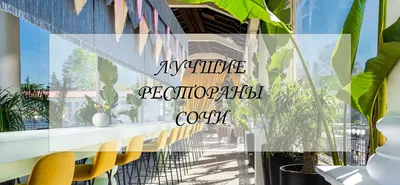 Июнь в ресторанах Сочи | SCAPP