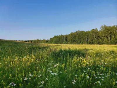 Культурно-развлекательный комплекс Мегаполис-Уфа в ТЦ Иремель - отзывы,  фото, цены, телефон и адрес - Развлечения - Уфа - Zoon.ru