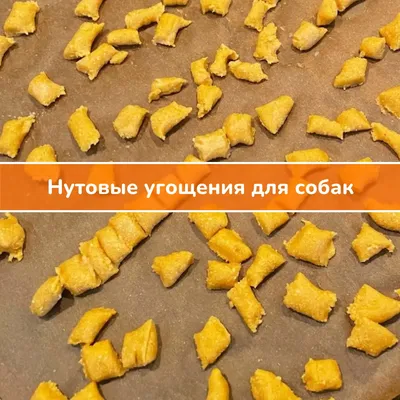 Продукты питания рецепта Barf сырья для органов мяса собак, яйца и овощи,  рыбу Стоковое Фото - изображение насчитывающей субпродуктов, рыбы: 202597712