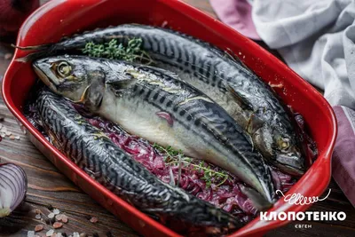 Как приготовить плов из красной рыбы в мультиварке | Рецепты плова всех  народов мира | Дзен