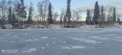 Мурманская область Ловозерский район Ревда Церковь Покрова Пресвятой  Богородицы Фотография