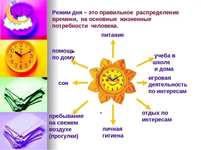 27 важных правил по составлению режима дня от гениев – Canva