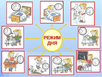 Картинки по запросу распорядок дня школьника в картинках скачать | Школьники,  Школьные темы, Лэпбук