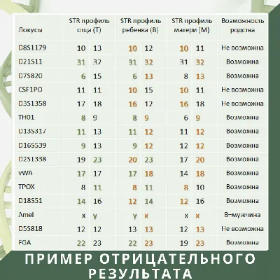 Узбекистан показал лучший результат в истории на Азиатских играх – Газета.uz