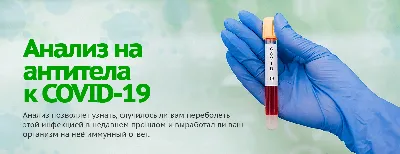 Делегирование: результат руками сотрудников. Технология регулярного  менеджмента, Александр Фридман – слушать онлайн или скачать mp3 на ЛитРес