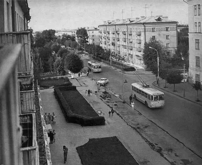 Отель «Старый город» в Рязани. Отзыв о новогодней поездке |