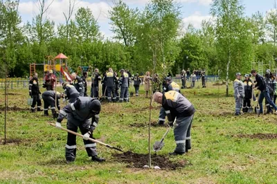 Фотодом» пригласил на прогулку по Тбилиси конца прошлого столетия — Новости  — город Рязань на городском сайте RZN.info