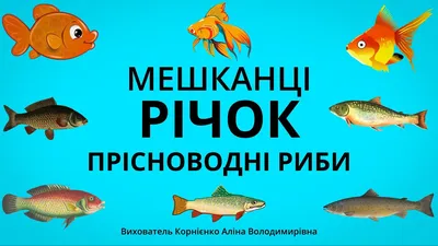 Більше третини риби і морепродуктів Україна імпортувала з Норвегії