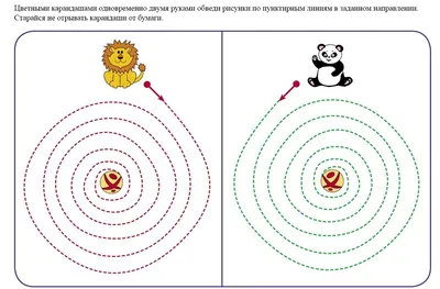 Рисование 2 руками. Рисование двумя руками одновременно | Прописи, Детские  научные проекты, Научные проекты