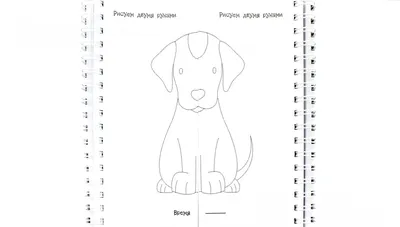 Рисование 2 руками. Рисование двумя руками одновременно | Прописи,  Преподавание математики, Навыки чтения