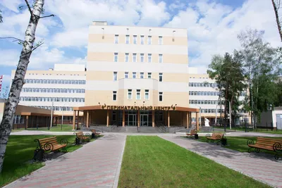 Рейтинг воронежских роддомов
