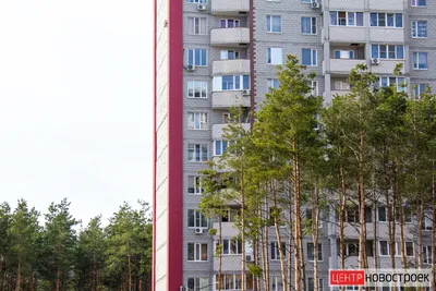 Областная детская больница на Ломоносова 114 город Воронеж. Отзыв | Елена  Малиенко - Вязание в моей жизни | Дзен