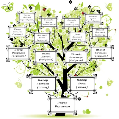 Родословное древо семьи картинки фотографии