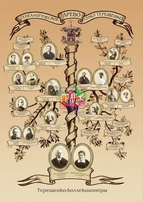 Заказать генеалогическое древо семьи - Портреты и шаржи по фотографии в  Новосибирске