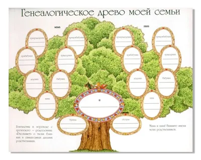 Родословная дерево (91 фото) - 91 фото