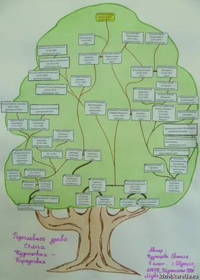 Генеалогическое дерево семьи (шаблон, вектор) в интернет-магазине Ярмарка  Мастеров по цене 1490 ₽ – R1C8WBY | Фотокартины, Саратов - доставка по  России