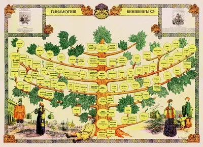Родословное древо семьи Кузнецовых – Бараусовых | Кижская галерея: фото и  видео — виды острова, люди, события | Музей-заповедник «Кижи»
