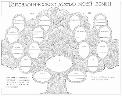 Как составить генеалогическое древо семьи самостоятельно