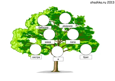 Как правильно составить генеалогическое древо семьи? | Свадебное платье |  Дзен