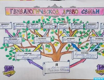 Генеалогическое древо семьи. Родословная. Воспитателям детских садов,  школьным учителям и педагогам - Маам.ру