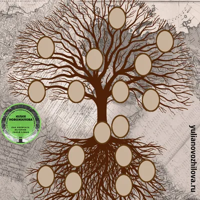 Что символизирует генеалогическое древо, и как его правильно оформить |  История одной семьи | Дзен