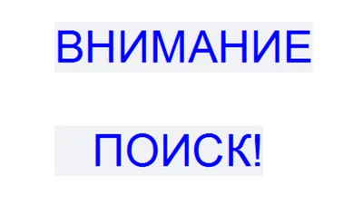 Шарж по фото. Большая семья, родственники на отдыхе на море. Подарок в  интернет-магазине Ярмарка Мастеров по цене 3590 ₽ – T1E7KRU | Шарж, Москва  - доставка по России