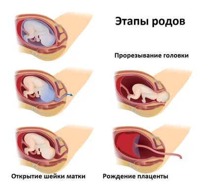 Роды и жизнь после них: насилие, депрессия, сложности